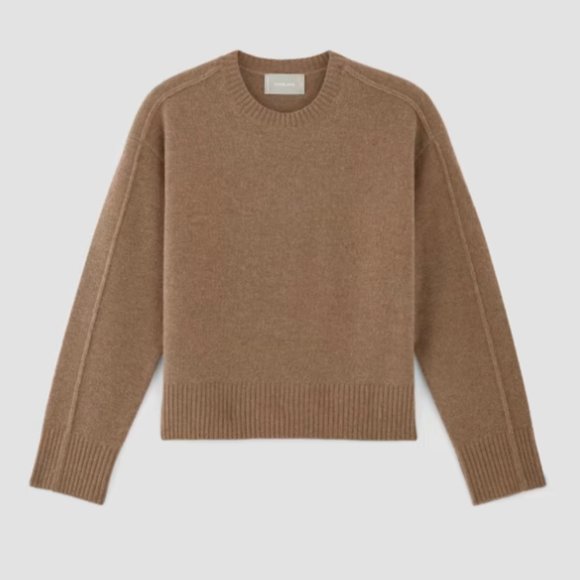 Everlane Sweaters - Everlane Merino Wool Crewneck Sweater